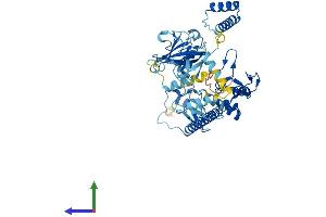 Protein Structure (PS) image for RanBP-Type and C3HC4-Type Zinc Finger Containing 1 (RBCK1) (AA 1-508) protein (His tag) (ABIN7565217)