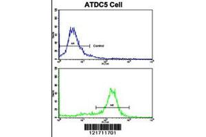 Flow cytometric analysis of ATDC5 cells using MSRB2 Antibody (bottom histogram) compared to a negative control cell (top histogram). (MSRB2 抗体  (AA 44-73))