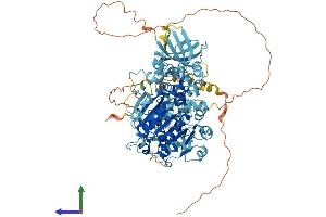 Protein Structure (PS) image for DNA repair and recombination protein RAD54B (RAD54B) (AA 1-886) protein (His tag) (ABIN7564124)