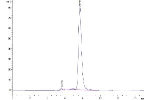 Size-exclusion chromatography-High Pressure Liquid Chromatography (SEC-HPLC) image for Interleukin 9 (IL9) (AA 19-144) protein (Fc Tag) (ABIN7274988)