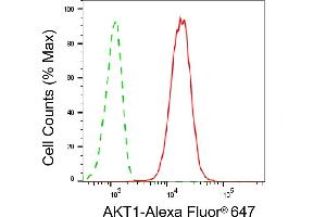 Flow cytometric analysis of AKT1 expression in C2C12 cells using AKT1 antibody (ABIN7800782), 1:2,000). (AKT1 抗体)