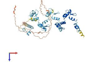AlphaFold protein structure predicition of Human Recombinant ZNF439 Protein, UniprotID Q8NDP4