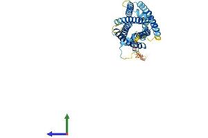 Protein Structure (PS) image for MAS-Related GPR, Member D (MRGPRD) (AA 1-321) protein (His tag) (ABIN7560135)
