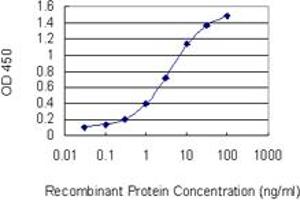 ELISA image for anti-PBX/knotted 1 Homeobox 2 (PKNOX2) (AA 116-215) antibody (ABIN566219)