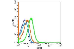 Flow Cytometry (FACS) image for anti-CD16a, CD16b (AA 131-230) antibody (ABIN761381)