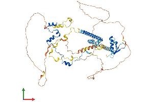 Protein Structure (PS) image for RAD21 Homolog (RAD21) (AA 1-635) protein (His tag) (ABIN7563921)