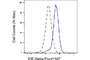 Validation of IDE knockdown using flow cytometry. (Recombinant IDE 抗体)