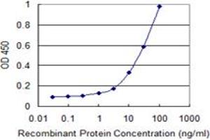 Detection limit for recombinant GST tagged ARNT2 is 0. (ARNT2 抗体  (AA 464-563))