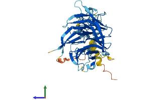 AlphaFold protein structure predicition of Human Recombinant NHLRC1 Protein, UniprotID Q6VVB1
