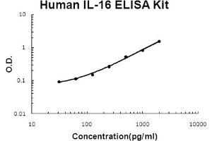 Human IL-16 Accusignal ELISA Kit Human IL-16 AccuSignal ELISA Kit standard curve. (IL16 ELISA 试剂盒)