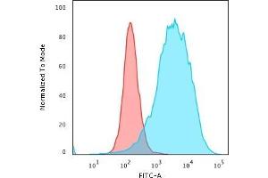 Flow Cytometric Analysis of PFA-fixed K562 cells using CD43 Rabbit Recombinant Monoclonal Antibody (SPN/2049R) followed by Goat anti-rabbit IgG-CF488 (Blue); Isotype Control (Red) (Recombinant CD43 抗体)