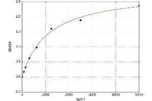 Cardiolipin Synthase (CLS) ELISA Kit