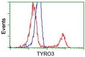 Image no. 2 for anti-TYRO3 Protein Tyrosine Kinase (TYRO3) antibody (ABIN1501603) (TYRO3 抗体)