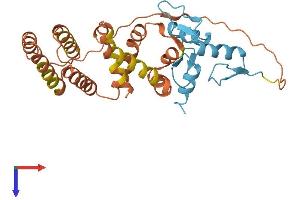 KLF7 Protein (AA 1-302) (His tag)