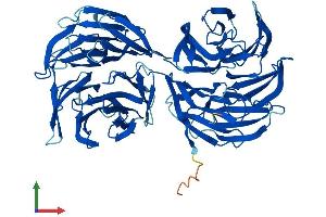 Protein Structure (PS) image for WD Repeat Domain 16 (WDR16) (AA 1-620) protein (His tag) (ABIN7553425)