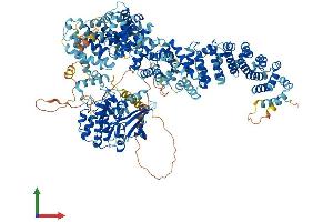 Protein Structure (PS) image for serine/threonine Kinase 36 (STK36) (AA 1-1316) protein (His tag) (ABIN7564025)
