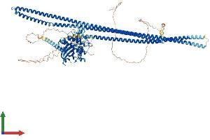 Protein Structure (PS) image for TAO Kinase 1 (TAOK1) (AA 1-1001) protein (His tag) (ABIN7555732)