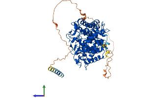 AlphaFold protein structure predicition of Human Recombinant EDEM1 Protein, UniprotID Q92611