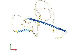 Protein Structure (PS) image for Jun D Proto-Oncogene (JUND) (AA 1-341) protein (His tag) (ABIN7562882)