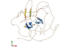 Protein Structure (PS) image for POU Domain, Class 2, Transcription Factor 1 (POU2F1) (AA 1-743) protein (His tag) (ABIN7555036)