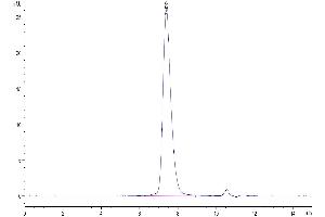 Size-exclusion chromatography-High Pressure Liquid Chromatography (SEC-HPLC) image for Programmed Cell Death 1 (PDCD1) (AA 25-167) protein (His-Avi Tag,Biotin) (ABIN7275421)