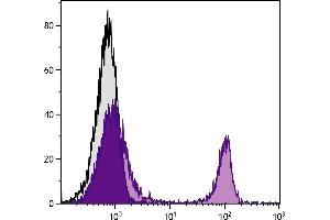 BALB/c mouse splenocytes were stained with Rat Anti-Mouse CD4-UNLB followed by Mouse Anti-Rat IgG2b-PE. (小鼠 anti-大鼠 IgG2b Antibody (PE))