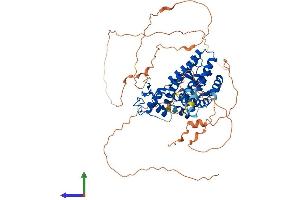 Protein Structure (PS) image for Estrogen Receptor 1 (ESR1) (AA 1-595) protein (His tag) (ABIN7553835)