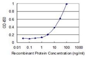 Detection limit for recombinant GST tagged AKIRIN2 is 0. (AKIRIN2 抗体  (AA 1-203))
