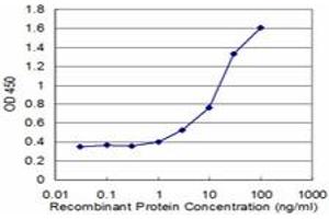 Detection limit for recombinant GST tagged RAD1 is approximately 1ng/ml as a capture antibody. (RAD1 抗体  (AA 1-90))