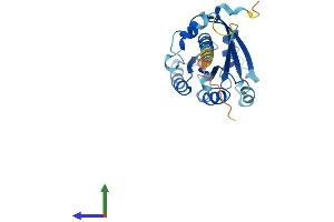 Protein Structure (PS) image for RAB34, Member RAS Oncogene Family (RAB34) (AA 1-259) protein (His tag) (ABIN7557804)