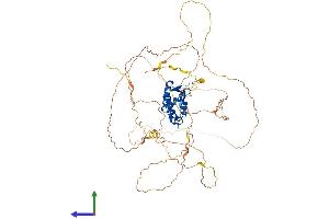 Protein Structure (PS) image for Forkhead Box N1 (FOXN1) (AA 1-648) protein (His tag) (ABIN7563922)