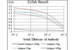 Black line: Control Antigen (100 ng), Purple line: Antigen(10 ng), Blue line: Antigen (50 ng), Red line: Antigen (100 ng), (TWIST1 抗体  (AA 9-74))
