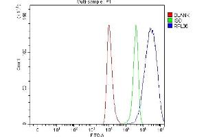 Flow Cytometry analysis of HEL cells using anti-RPL36 antibody (ABIN7602917).