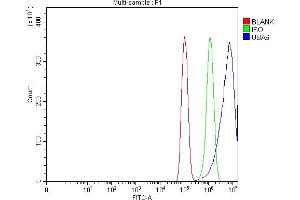 Flow Cytometry analysis of PC-3 cells using anti-UBA6 antibody (ABIN7602559).