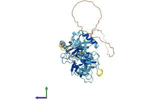 AlphaFold protein structure predicition of Mouse Recombinant Prkn Protein, UniprotID Q9WVS6