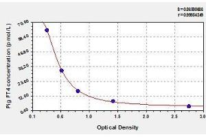 Typical standard curve (Free Thyroxine ELISA 试剂盒)