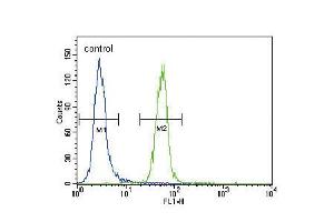 Flow cytometric analysis of Hela cells (right histogram) compared to a negative control cell (left histogram). (FYN 抗体  (N-Term))