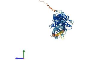 Protein Structure (PS) image for Guanylate Binding Protein 4 (GBP4) (AA 1-640) protein (His tag) (ABIN7547888)
