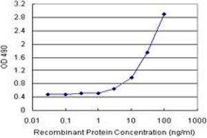 Sandwich ELISA detection sensitivity ranging from 3 ng/mL to 100 ng/mL. (FKBP5 (人) Matched Antibody Pair)