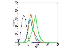 Flow Cytometry (FACS) image for anti-G Protein-Coupled Receptor, Family C, Group 5, Member A (GPRC5A) (AA 1-33) antibody (ABIN1385196)