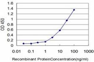 Detection limit for recombinant GST tagged IFI16 is approximately 0. (IFI16 抗体  (AA 630-729))