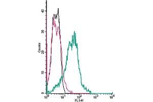 Cell surface detection of NHE1 by indirect flow cytometry in live intact human  megakaryocytic leukemia cells: + goat-anti-rabbit-FITC.