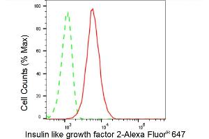 Flow cytometric analysis of Insulin like growth factor 2 expression in HT- cells using Insulin like growth factor 2 antibody (ABIN7799049), 1:2,000). (Recombinant IGF2 抗体)