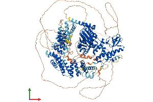 AlphaFold protein structure predicition of Human Recombinant KDM6A Protein, UniprotID O15550