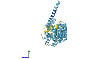 Protein Structure (PS) image for Proteasome (Prosome, Macropain) 26S Subunit, Non-ATPase, 13 (PSMD13) (AA 1-376) protein (His tag) (ABIN7556323)