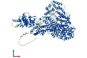 Protein Structure (PS) image for Mediator Complex Subunit 23 (MED23) (AA 1-1367) protein (His tag) (ABIN7564301)