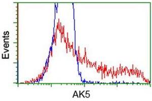 HEK293T cells transfected with either RC222241 overexpress plasmid (Red) or empty vector control plasmid (Blue) were immunostained by anti-AK5 antibody (ABIN2452721), and then analyzed by flow cytometry. (Adenylate Kinase 5 抗体)