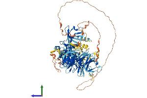 Protein Structure (PS) image for Mitogen-Activated Protein Kinase Kinase Kinase Kinase 5 (MAP4K5) (AA 1-846) protein (His tag) (ABIN7549187)