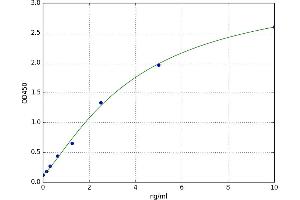 A typical standard curve