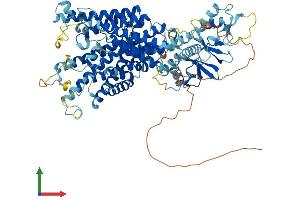 Protein Structure (PS) image for Chloride Channel 3 (CLCN3) (AA 1-818) protein (His tag) (ABIN7553518)